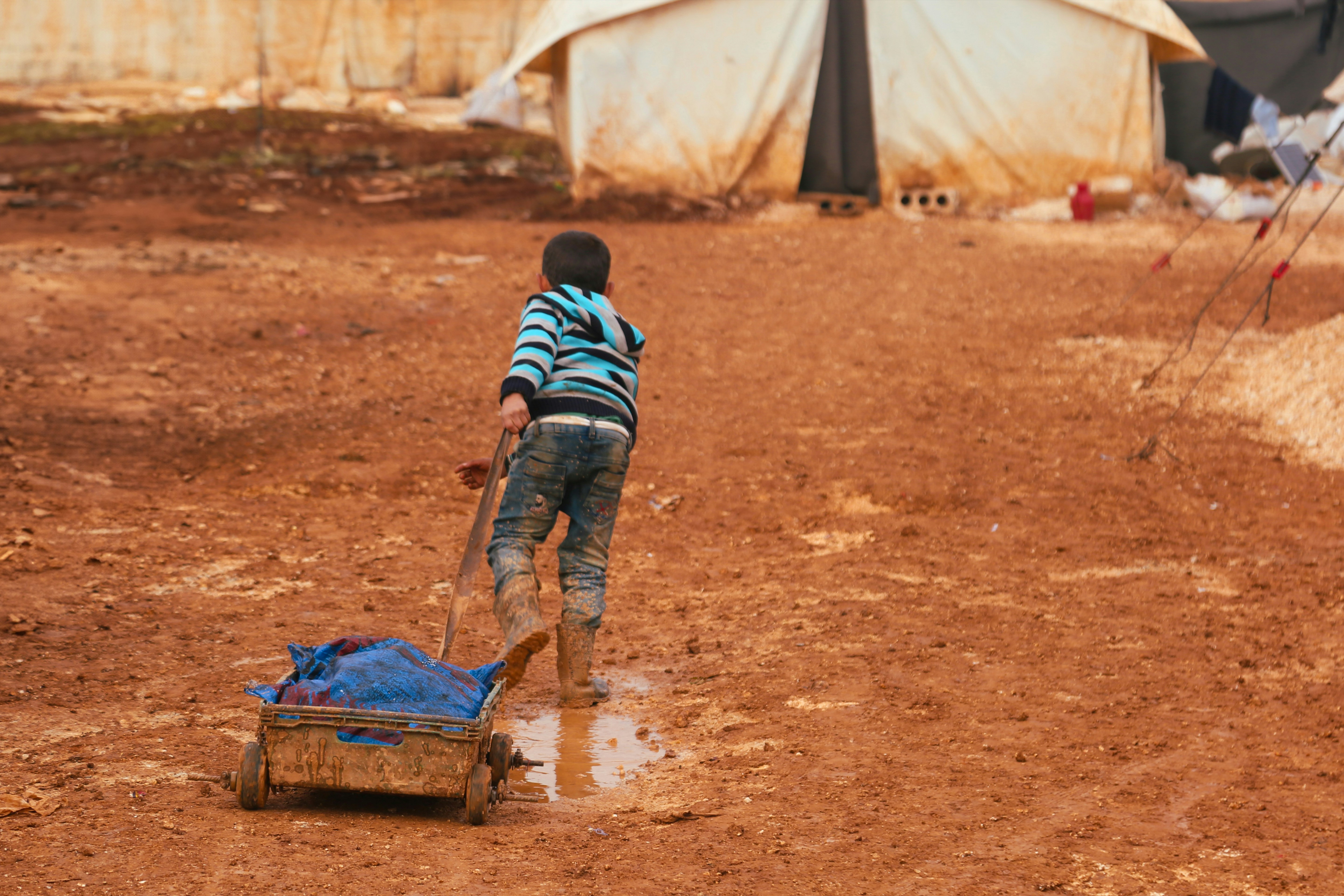 Meals and Clean Water